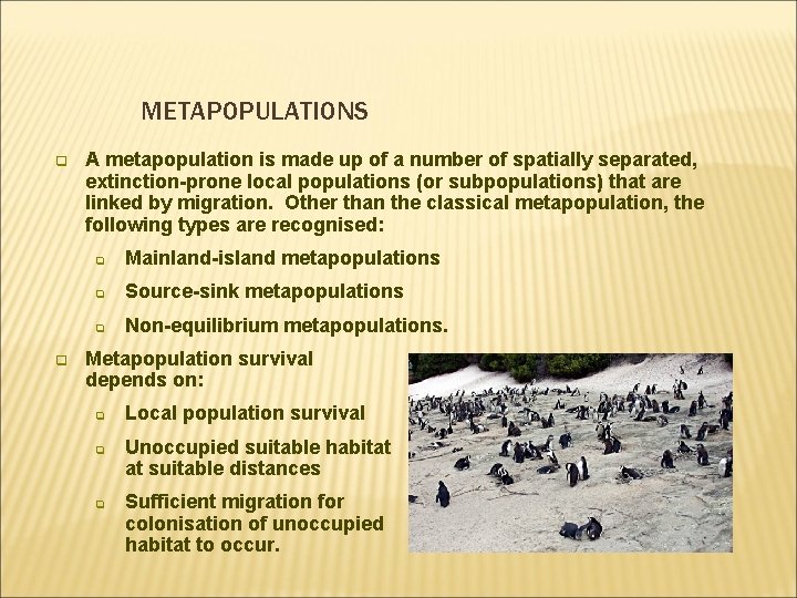 METAPOPULATIONS q q A metapopulation is made up of a number of spatially separated,