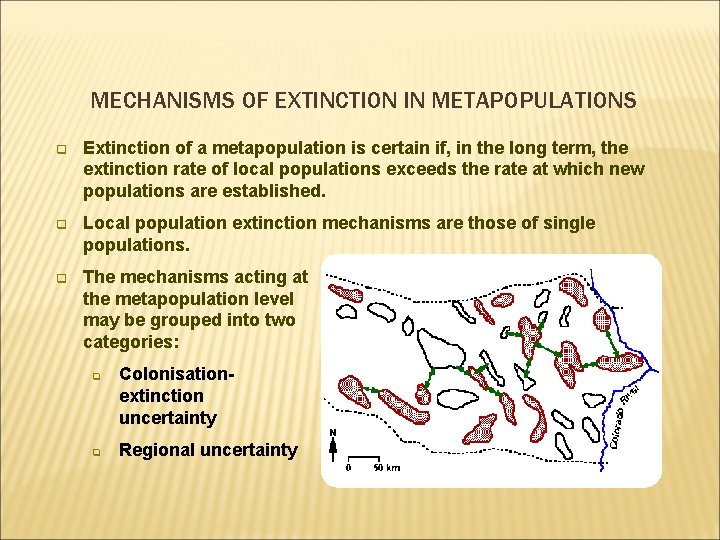 MECHANISMS OF EXTINCTION IN METAPOPULATIONS q Extinction of a metapopulation is certain if, in