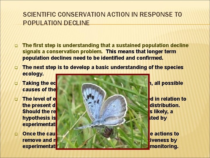 SCIENTIFIC CONSERVATION ACTION IN RESPONSE TO POPULATION DECLINE q The first step is understanding