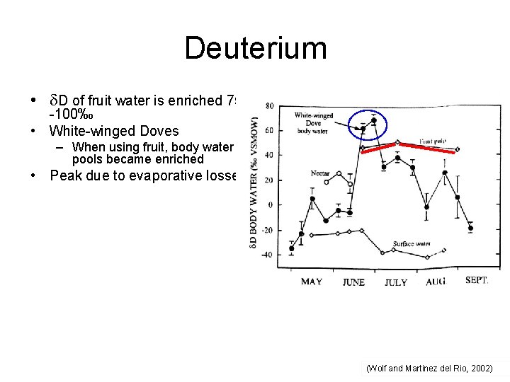 Deuterium • D of fruit water is enriched 75 -100‰ • White-winged Doves –