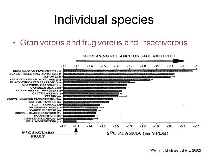 Individual species • Granivorous and frugivorous and insectivorous (Wolf and Martinez del Rio, 2002)