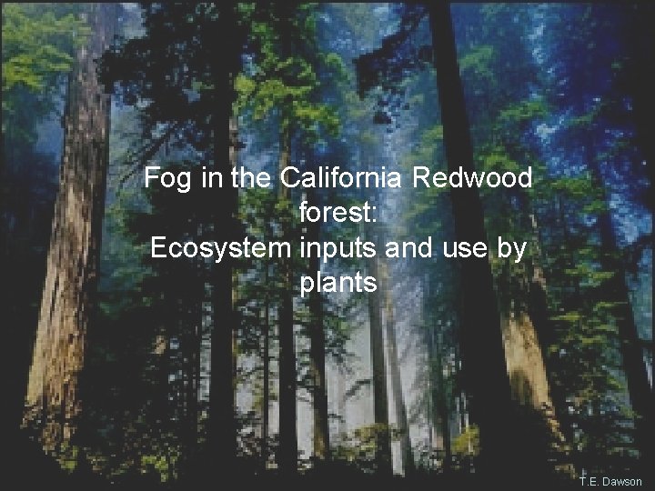 Fog in the California Redwood forest: Ecosystem inputs and use by plants T. E.