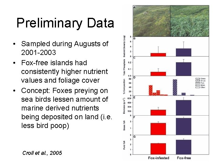 Preliminary Data • Sampled during Augusts of 2001 -2003 • Fox-free islands had consistently