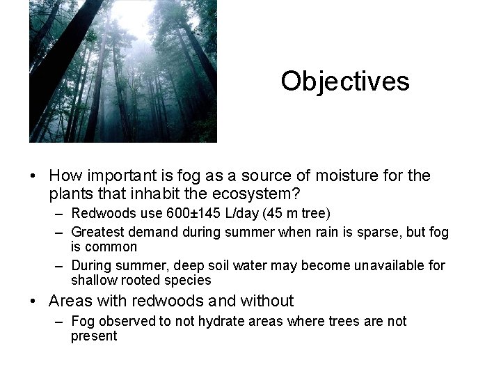 Objectives • How important is fog as a source of moisture for the plants