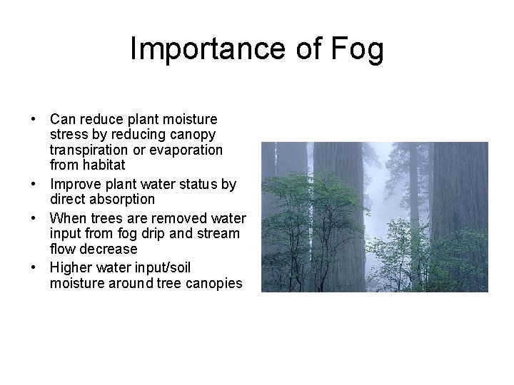 Importance of Fog • Can reduce plant moisture stress by reducing canopy transpiration or