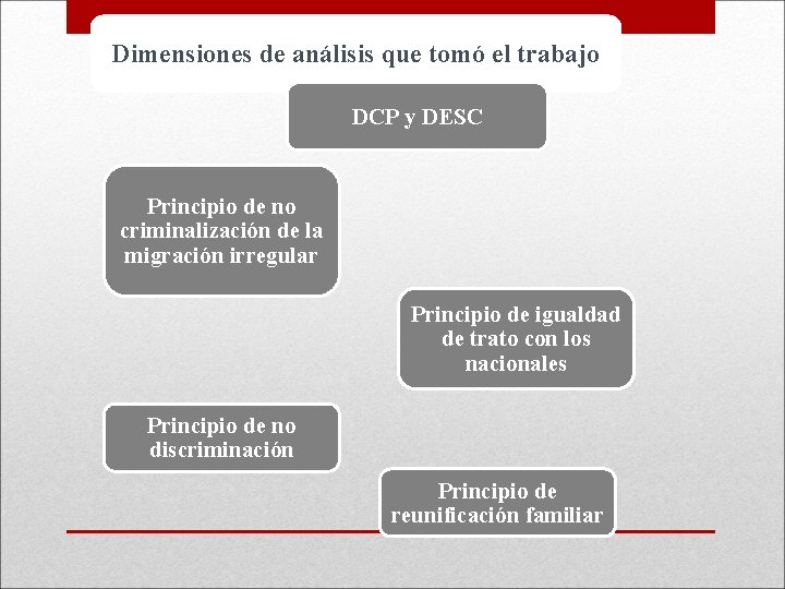 Dimensiones de análisis que tomó el trabajo DCP y DESC Principio de no criminalización