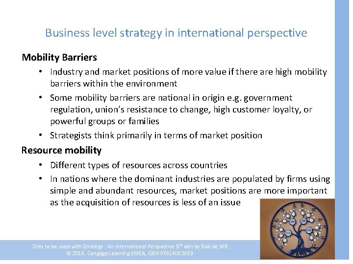 Business level strategy in international perspective Mobility Barriers • Industry and market positions of