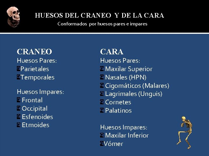 HUESOS DEL CRANEO Y DE LA CARA Conformados por huesos pares e impares CRANEO