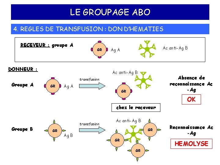 LE GROUPAGE ABO 4. REGLES DE TRANSFUSION : DON D’HEMATIES RECEVEUR : groupe A