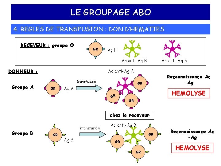 LE GROUPAGE ABO 4. REGLES DE TRANSFUSION : DON D’HEMATIES RECEVEUR : groupe O