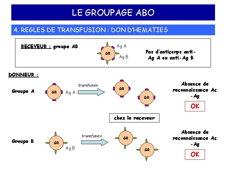 LE GROUPAGE ABO 4. REGLES DE TRANSFUSION : DON D’HEMATIES RECEVEUR : groupe AB
