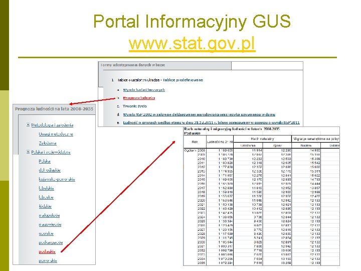 Portal Informacyjny GUS www. stat. gov. pl 