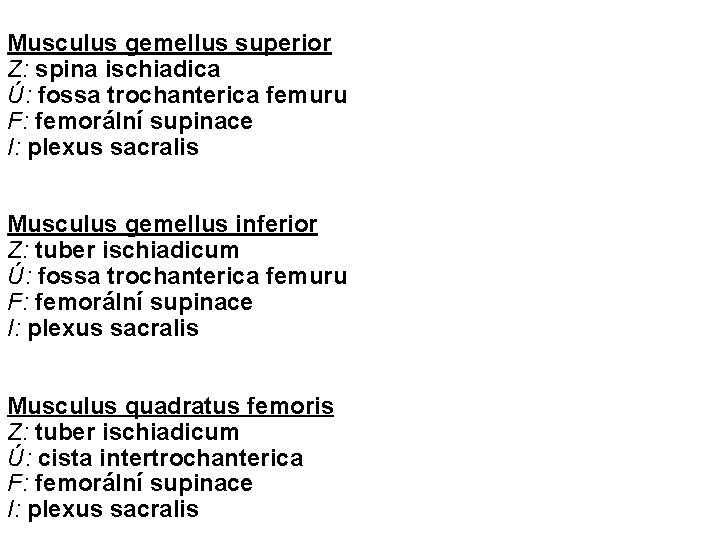 Musculus gemellus superior Z: spina ischiadica Ú: fossa trochanterica femuru F: femorální supinace I: