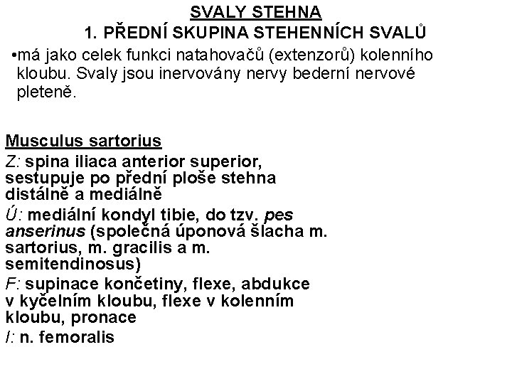 SVALY STEHNA 1. PŘEDNÍ SKUPINA STEHENNÍCH SVALŮ • má jako celek funkci natahovačů (extenzorů)