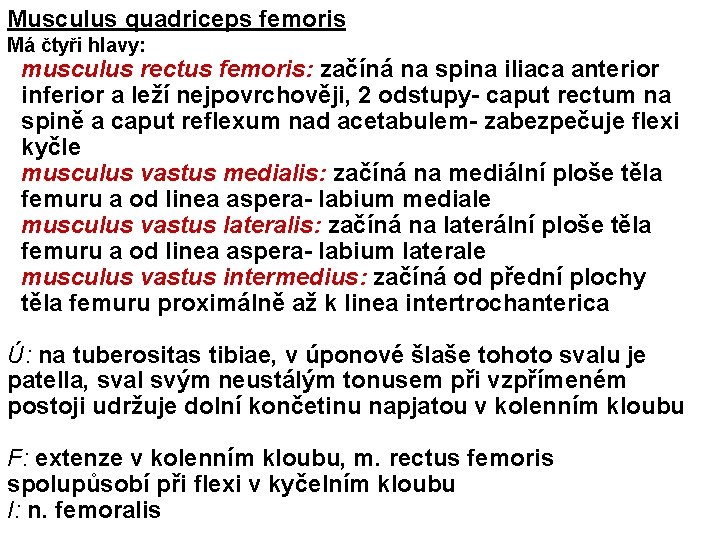 Musculus quadriceps femoris Má čtyři hlavy: musculus rectus femoris: začíná na spina iliaca anterior