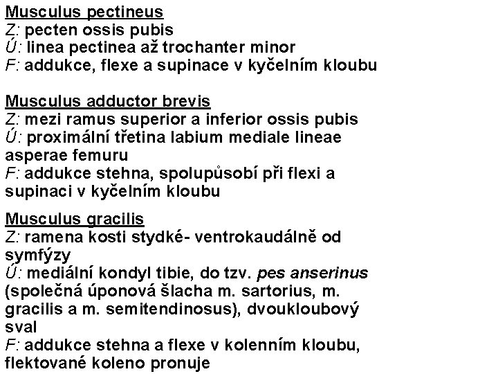 Musculus pectineus Z: pecten ossis pubis Ú: linea pectinea až trochanter minor F: addukce,