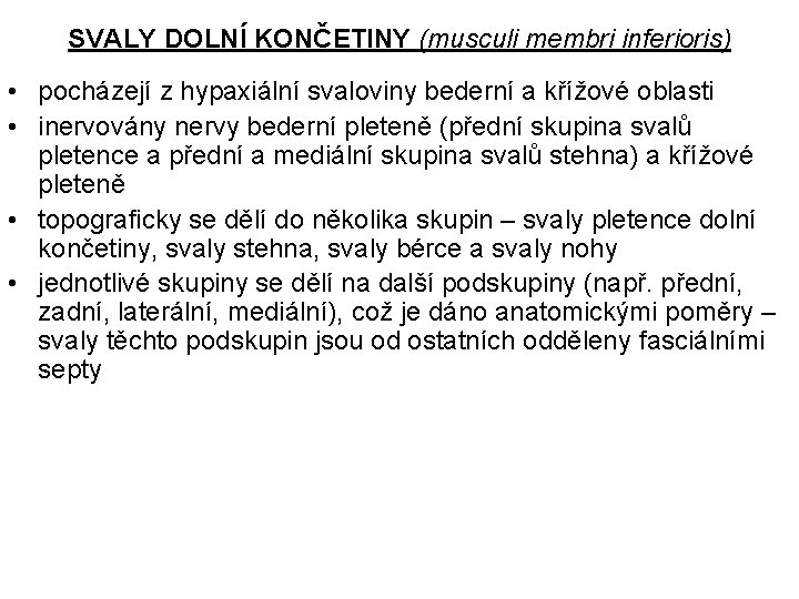 SVALY DOLNÍ KONČETINY (musculi membri inferioris) • pocházejí z hypaxiální svaloviny bederní a křížové