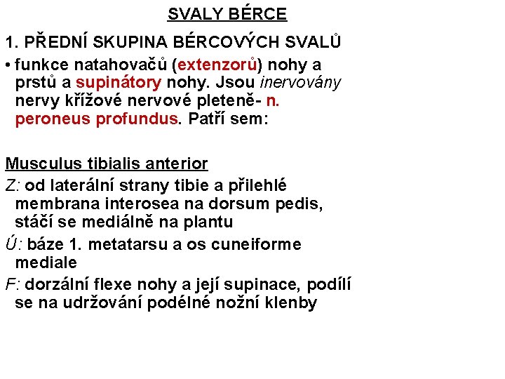 SVALY BÉRCE 1. PŘEDNÍ SKUPINA BÉRCOVÝCH SVALŮ • funkce natahovačů (extenzorů) nohy a prstů