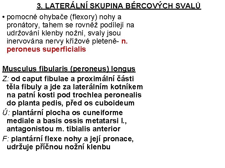 3. LATERÁLNÍ SKUPINA BÉRCOVÝCH SVALŮ • pomocné ohybače (flexory) nohy a pronátory, tahem se