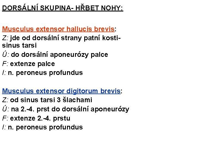 DORSÁLNÍ SKUPINA- HŘBET NOHY: Musculus extensor hallucis brevis: Z: jde od dorsální strany patní