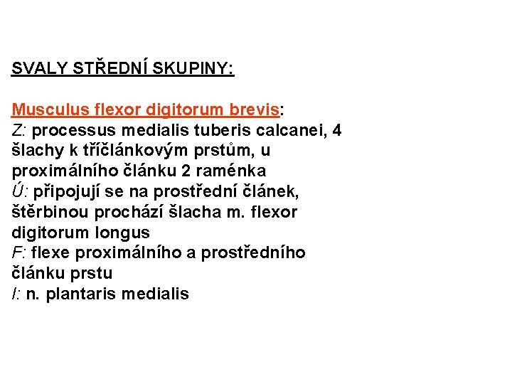 SVALY STŘEDNÍ SKUPINY: Musculus flexor digitorum brevis: Z: processus medialis tuberis calcanei, 4 šlachy