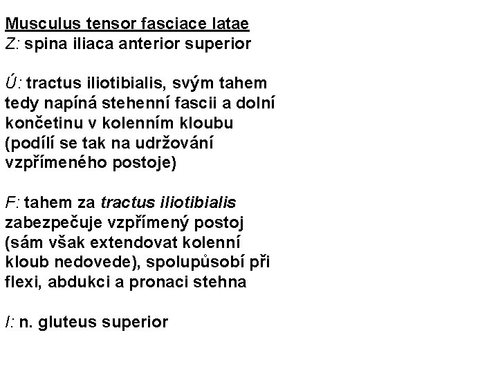 Musculus tensor fasciace latae Z: spina iliaca anterior superior Ú: tractus iliotibialis, svým tahem