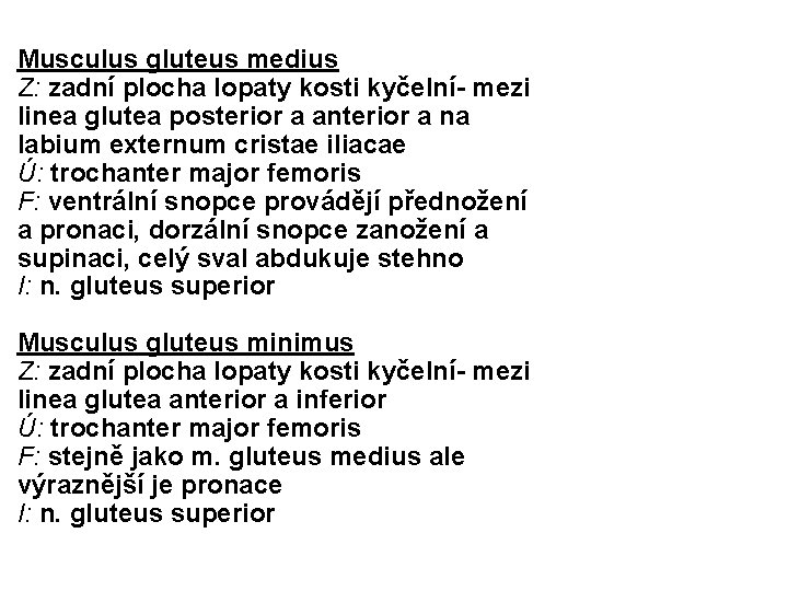 Musculus gluteus medius Z: zadní plocha lopaty kosti kyčelní- mezi linea glutea posterior a