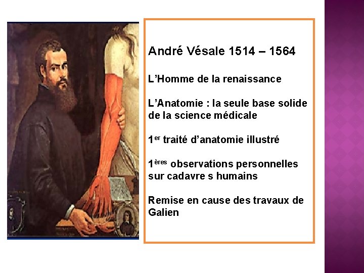 André Vésale 1514 – 1564 L’Homme de la renaissance L’Anatomie : la seule base