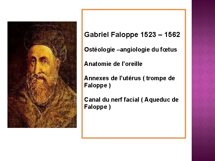 Gabriel Faloppe 1523 – 1562 Ostéologie –angiologie du fœtus Anatomie de l’oreille Annexes de