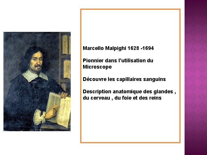 Marcello Malpighi 1628 -1694 Pionnier dans l’utilisation du Microscope Découvre les capillaires sanguins Description