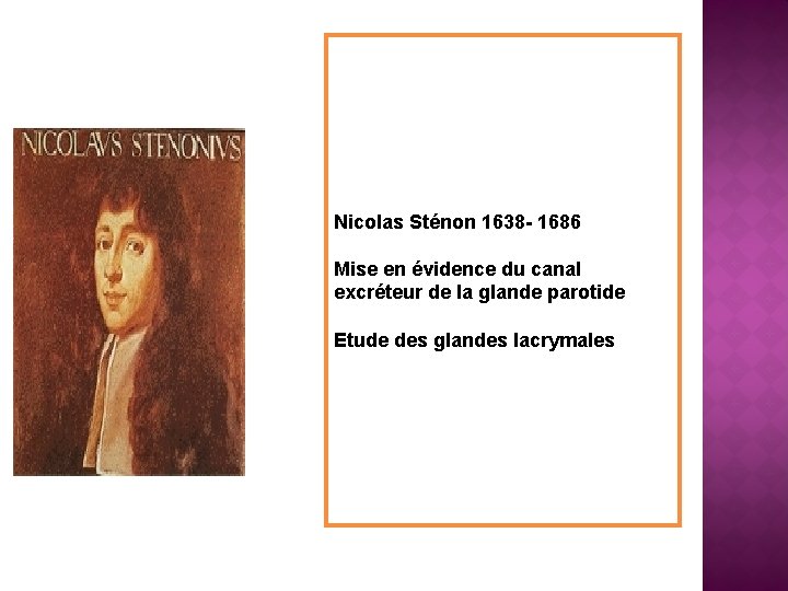 Nicolas Sténon 1638 - 1686 Mise en évidence du canal excréteur de la glande