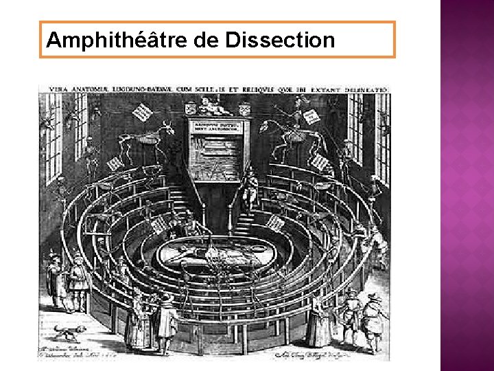 Amphithéâtre de Dissection 