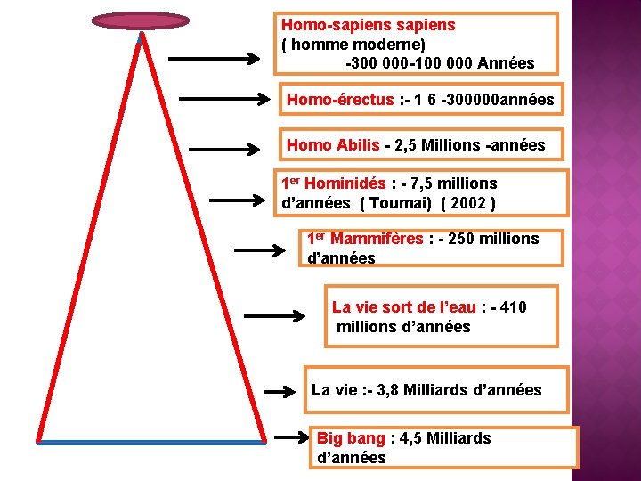 Homo-sapiens ( homme moderne) -300 000 -100 000 Années Homo-érectus : - 1 6