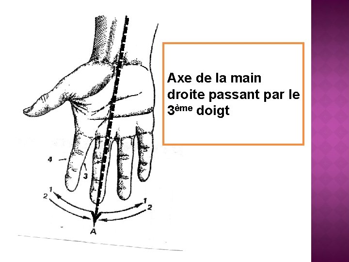 Axe de la main droite passant par le 3ème doigt 