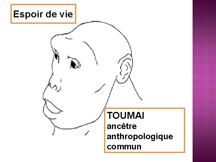 Espoir de vie TOUMAI ancêtre anthropologique commun 