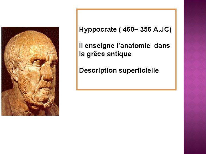 Hyppocrate ( 460– 356 A. JC) Il enseigne l’anatomie dans la grêce antique Description