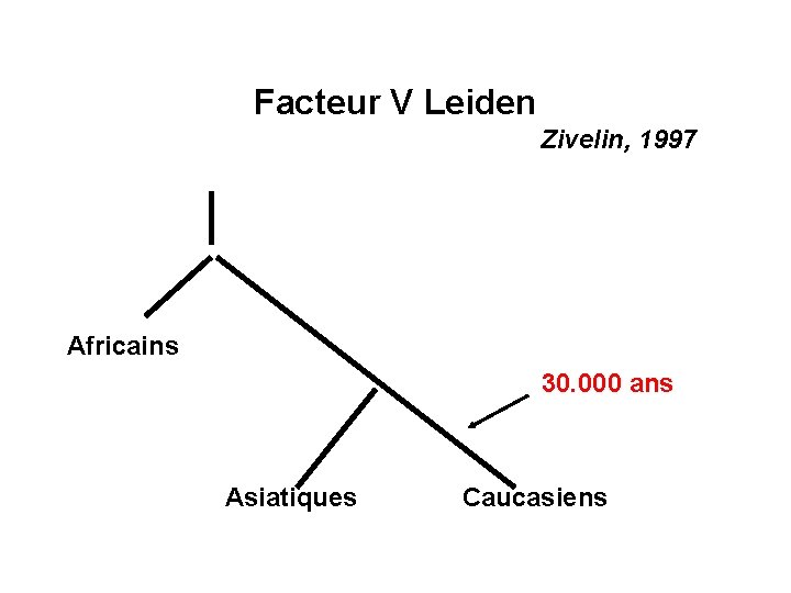 Facteur V Leiden Zivelin, 1997 Africains 30. 000 ans Asiatiques Caucasiens 