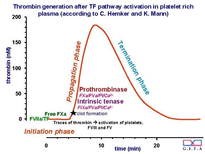 Thrombin generation after TF pathway activation in platelet rich plasma (according to C. Hemker
