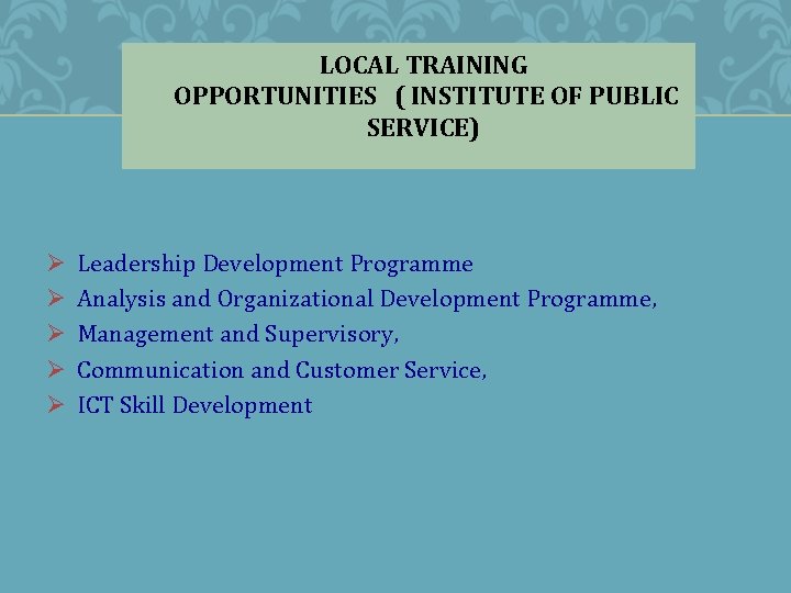 LOCAL TRAINING OPPORTUNITIES ( INSTITUTE OF PUBLIC SERVICE) Ø Ø Ø Leadership Development Programme
