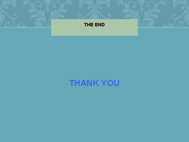 THE END THANK YOU 