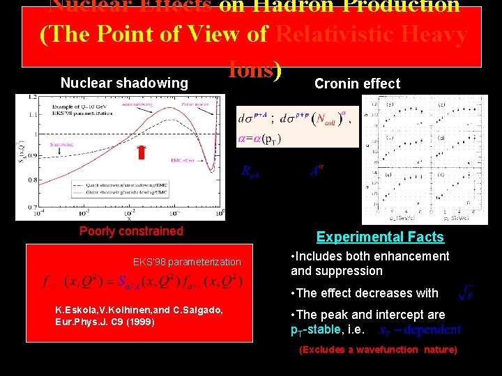 Nuclear Effects on Hadron Production (The Point of View of Relativistic Heavy Ions) Nuclear
