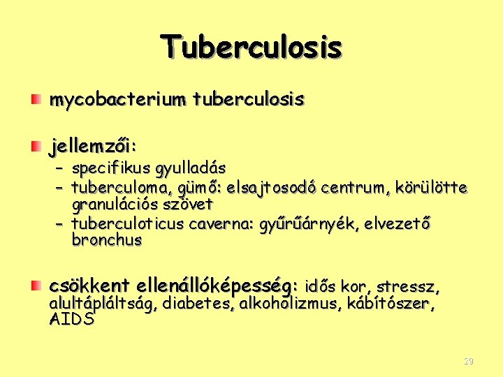 Tuberculosis mycobacterium tuberculosis jellemzői: – specifikus gyulladás – tuberculoma, gümő: elsajtosodó centrum, körülötte granulációs