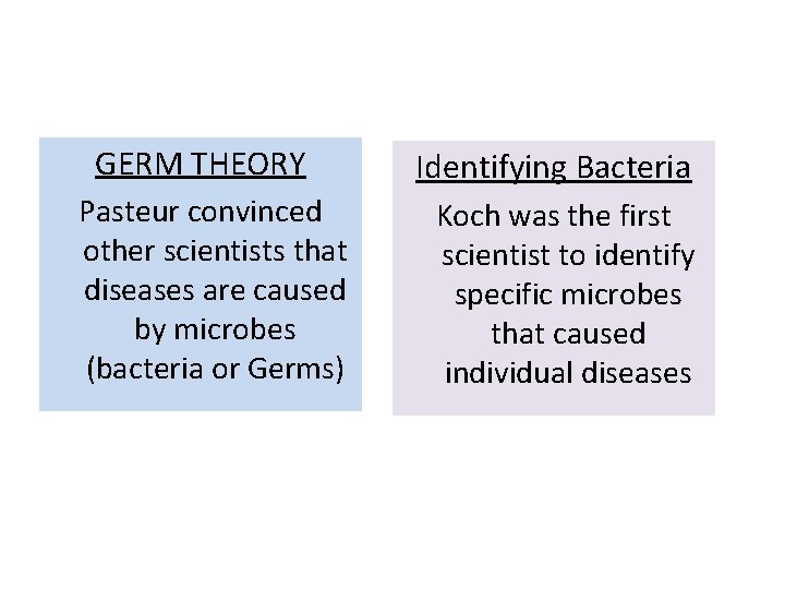 GERM THEORY Pasteur convinced other scientists that diseases are caused by microbes (bacteria or