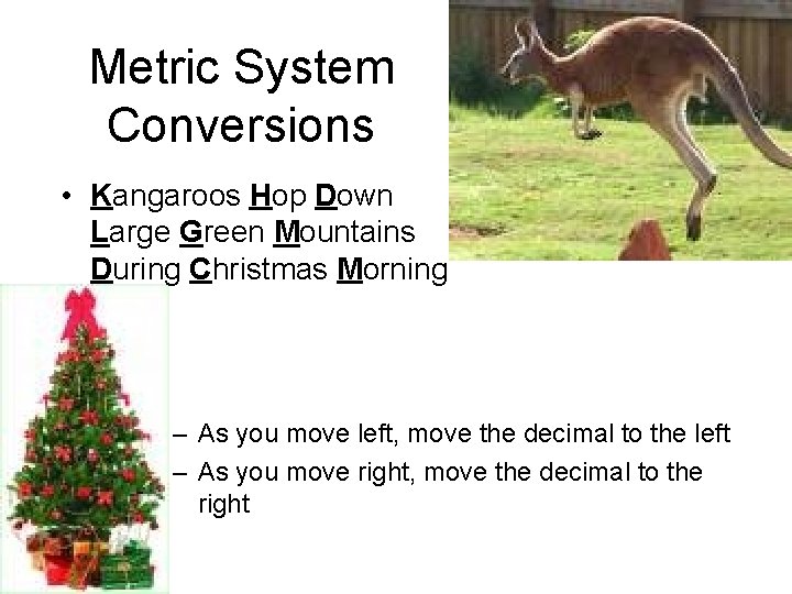 Metric System Conversions • Kangaroos Hop Down Large Green Mountains During Christmas Morning –