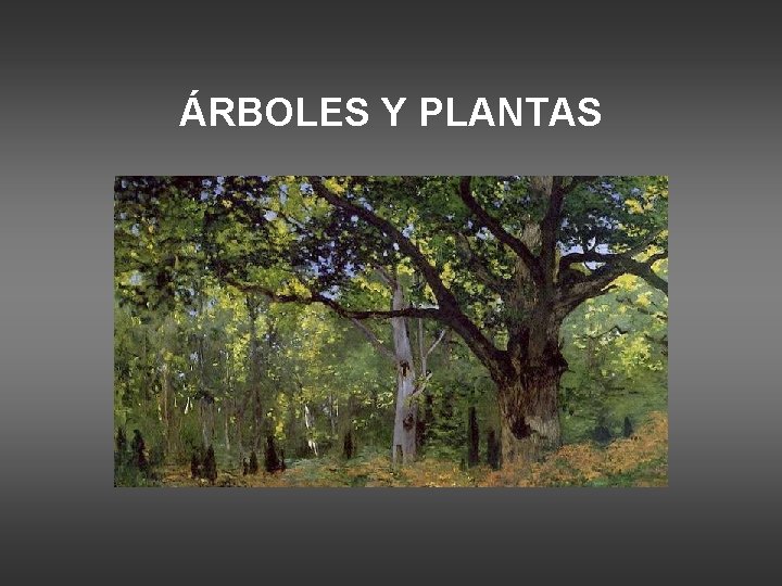 ÁRBOLES Y PLANTAS 