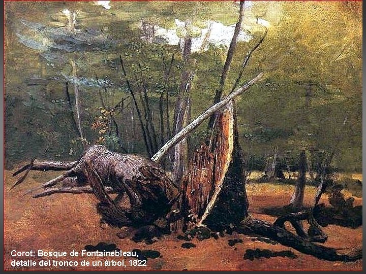 Corot: Bosque de Fontainebleau, detalle del tronco de un árbol, 1822 