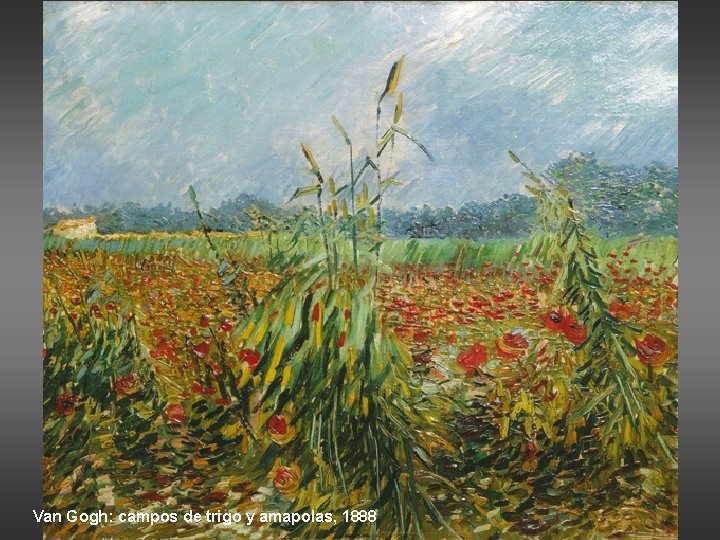 Van Gogh: campos de trigo y amapolas, 1888 