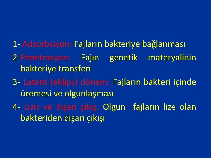 1 - Adsorbsiyon: Fajların bakteriye bağlanması 2 -Penetrasyon: Fajın genetik materyalinin bakteriye transferi 3