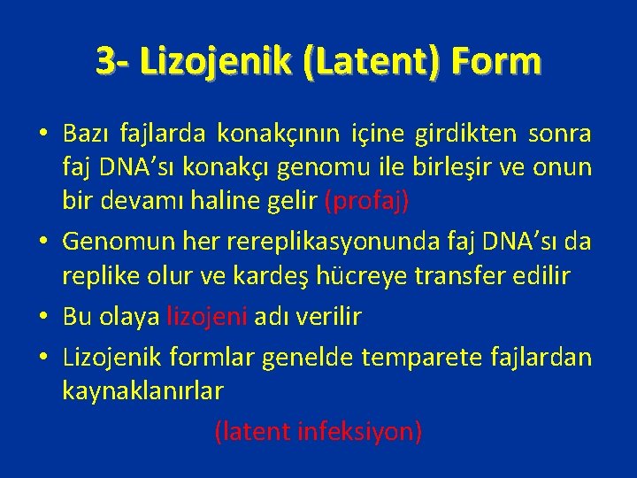 3 - Lizojenik (Latent) Form • Bazı fajlarda konakçının içine girdikten sonra faj DNA’sı