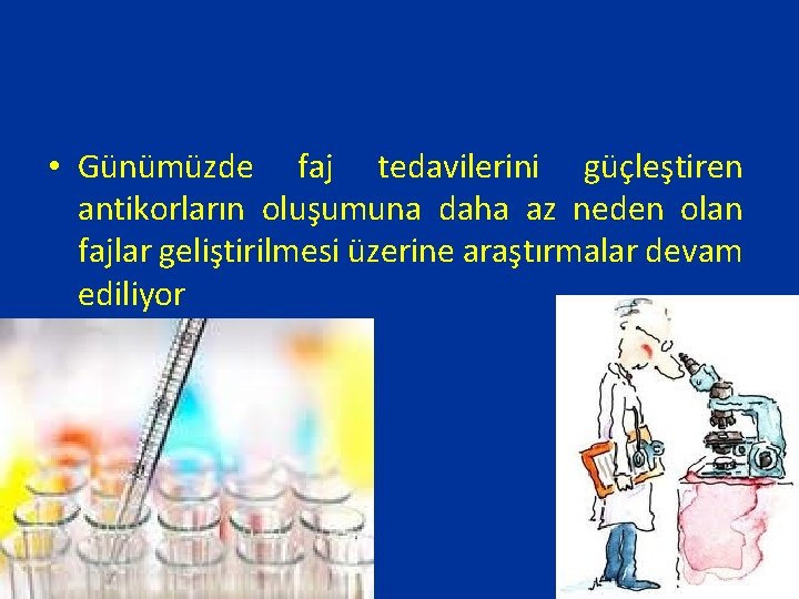  • Günümüzde faj tedavilerini güçleştiren antikorların oluşumuna daha az neden olan fajlar geliştirilmesi